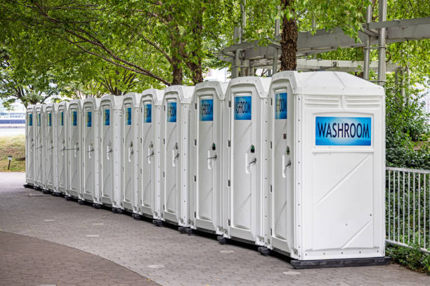 Best Porta potty for special events  in Black River Falls, WI